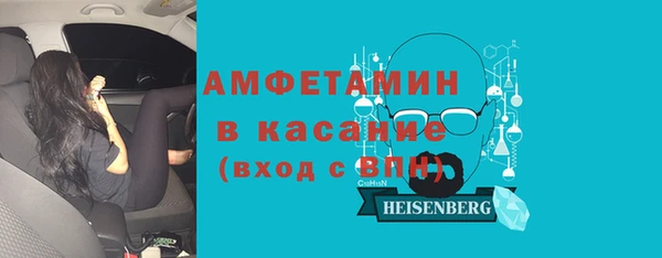 мет Алексин