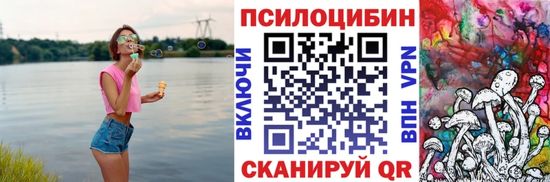 shop официальный сайт  Плавск  Псилоцибиновые грибы прущие грибы 